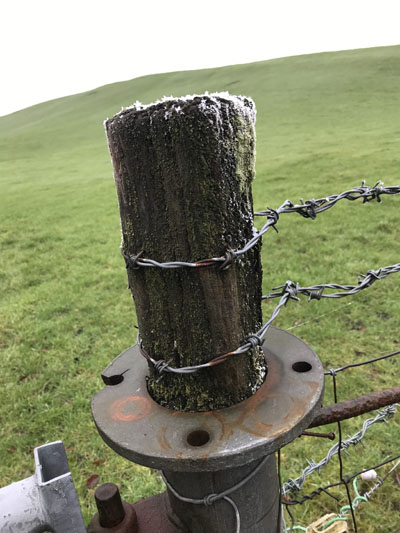 arthur young fence four sm